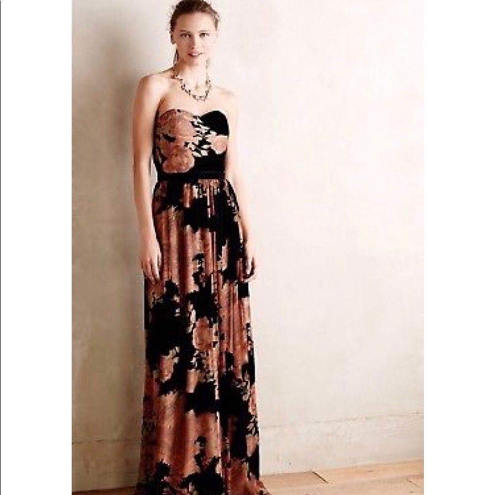 Anthropologie ERIN velvet maxi gown size 2
